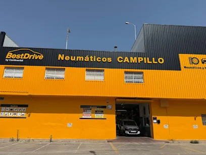 Neumáticos Campillo