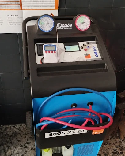 Neumáticos Carrión