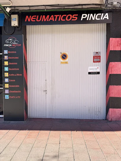 Neumáticos Pincia