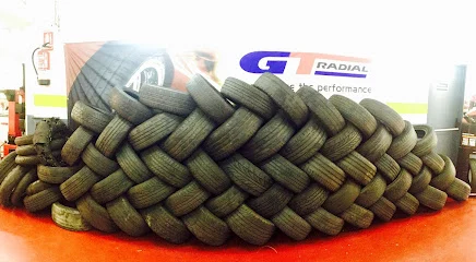 Taller Neumaticos y Mecanica Alcala