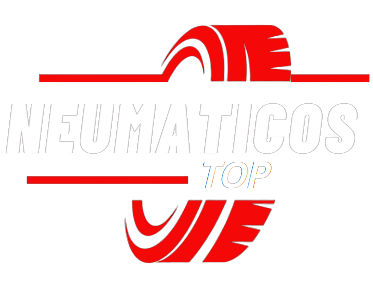 Logo Neumaticos.top