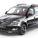 Descubre los mejores neumáticos para Skoda Roomster