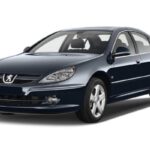 Guía de neumáticos para Peugeot 607 Paladine