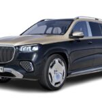 Los mejores neumáticos para Maybach GLS: Guía completa