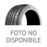 Los mejores neumáticos para Renault Modus