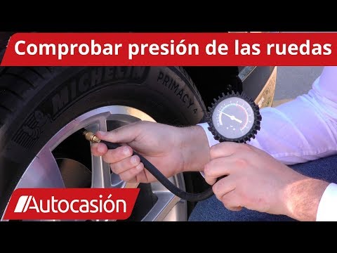 Los mejores neumáticos para Seat Ibiza: Guía completa