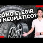 Mejores neumáticos para Renault Thalia: ¡Descubre cuáles son!