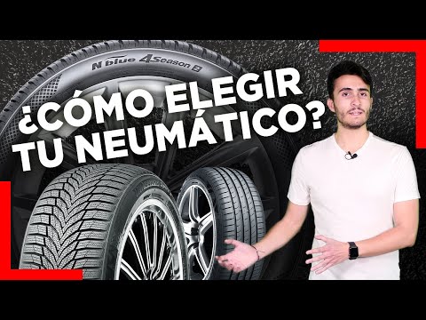 Mejores neumáticos para Renault Thalia: ¡Descubre cuáles son!