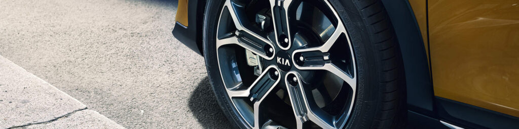 Neumáticos ideales para Kia Brisa
