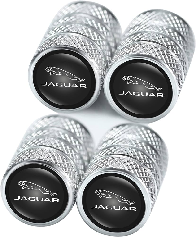 Neumáticos top para Jaguar XJ6