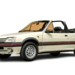 Top neumáticos para Peugeot 205