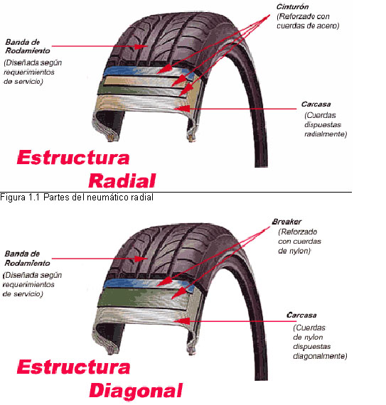 Ventajas y características de los neumáticos radiales vs diagonales para cargadoras